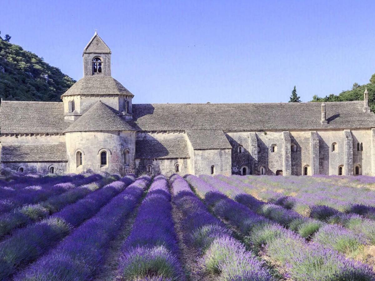 Domaine De La Brave Bed & Breakfast Pernes-les-Fontaines Eksteriør bilde